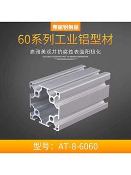 江蘇歐標6060流水線支架框架